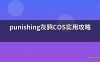 punishing灰鸦COS实用攻略