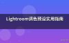 Lightroom调色预设实用指南