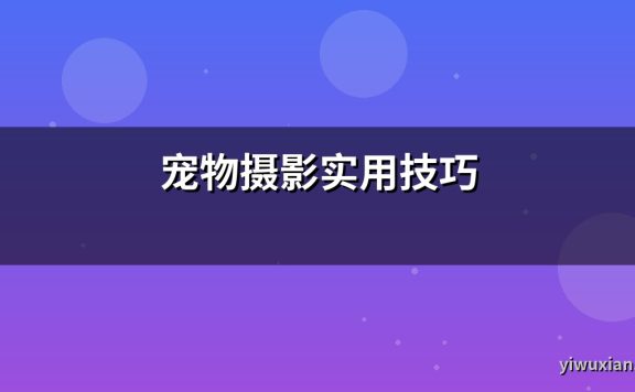 宠物摄影实用技巧