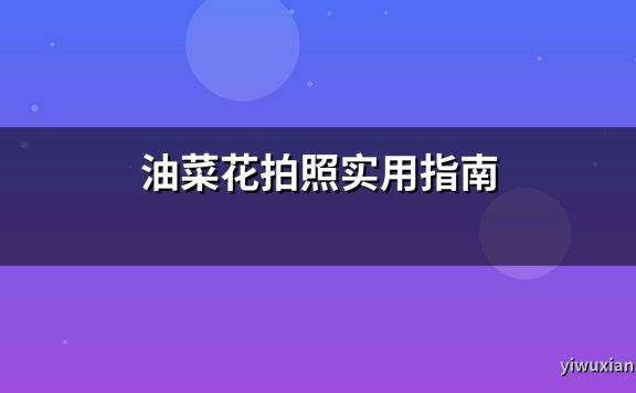 油菜花拍照实用指南